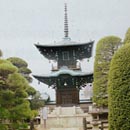 照光寺