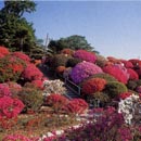 鶴嶺公園